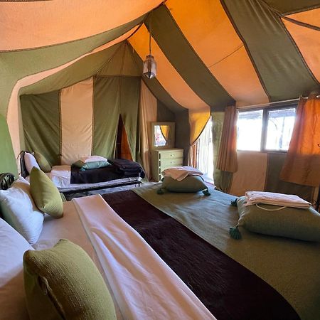 Roses Desert Camp メルズーガ エクステリア 写真